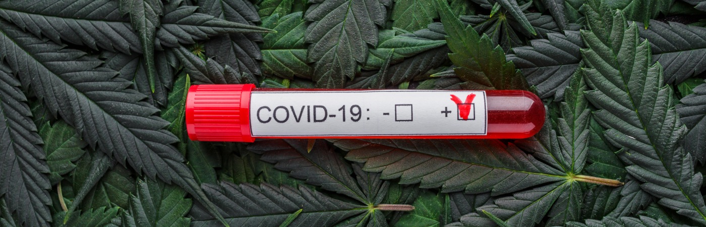 Marijuana and coronavirus test