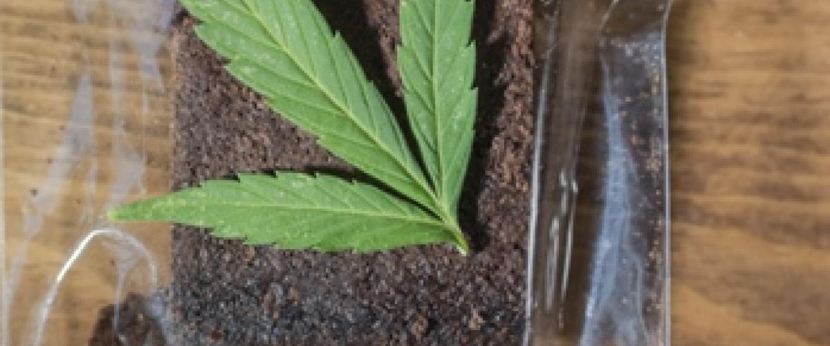 THC Brownie