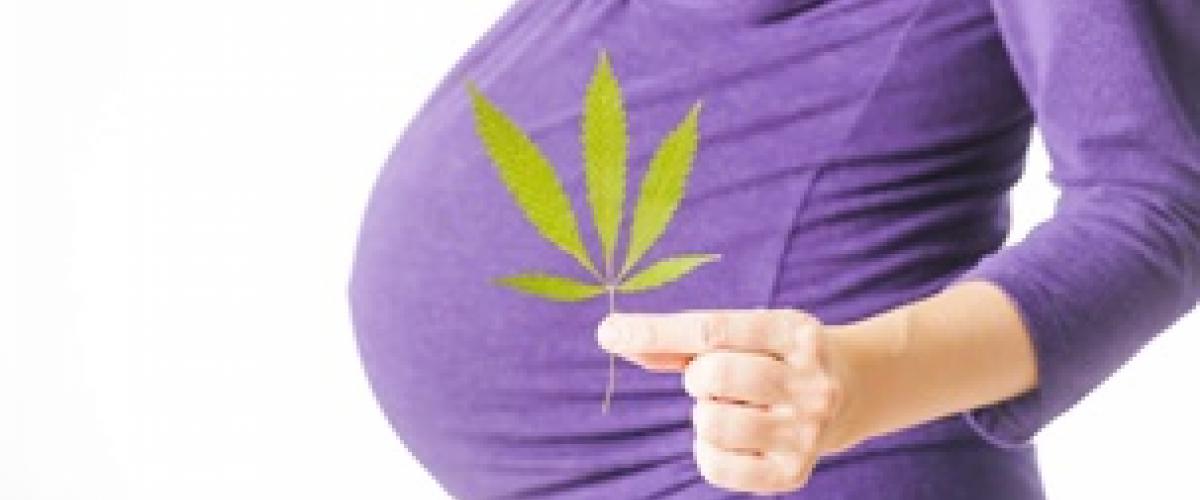 pregnant woman holding marijuana leaf