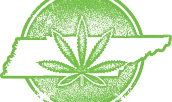 Marijuana Tennessee