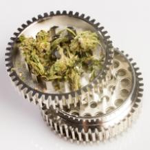 Marijuana grinder