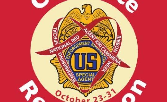 Celebrate Red Ribbon banner