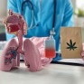 Marijuana and lungs