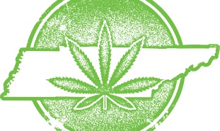 Marijuana Tennessee