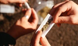 person rolling marijuana joint