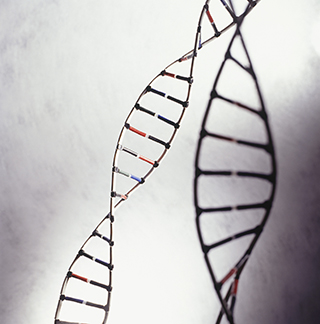 DNA structure
