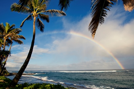 image of Hawaii beach and rainbow