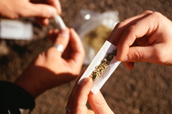 people rolling marijuana joints