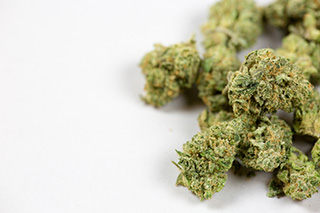 marijuana