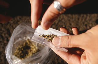 marijuana joint