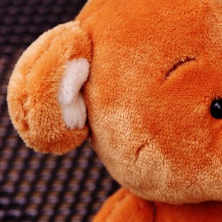 Teddy Bears Teddy Bear, stuffed animal